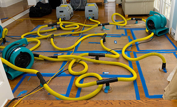 Professional Crawl Space Water Removal technician working in Myrtle Beach, SC